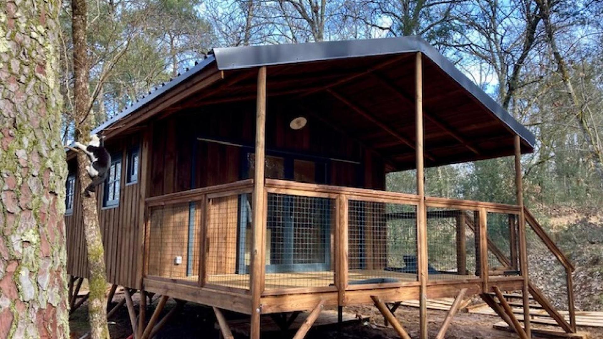 Le Gallo