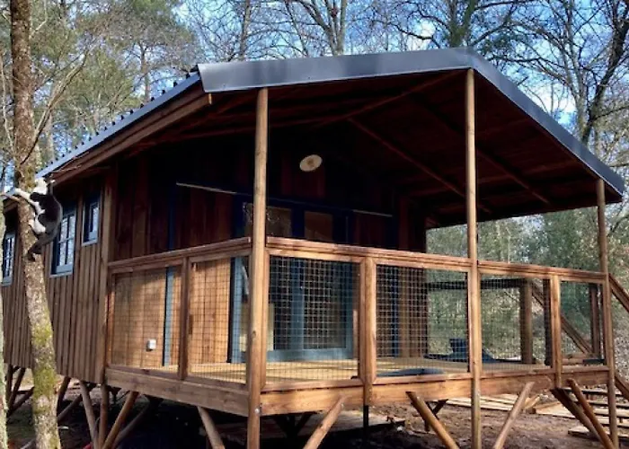 Camping Le Gallo Romain